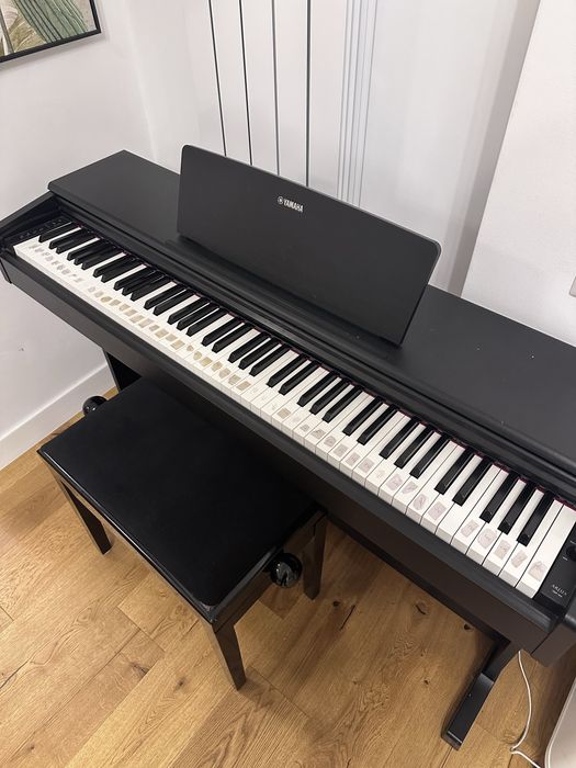 Vand Pian Yamaha Arius YDP 144