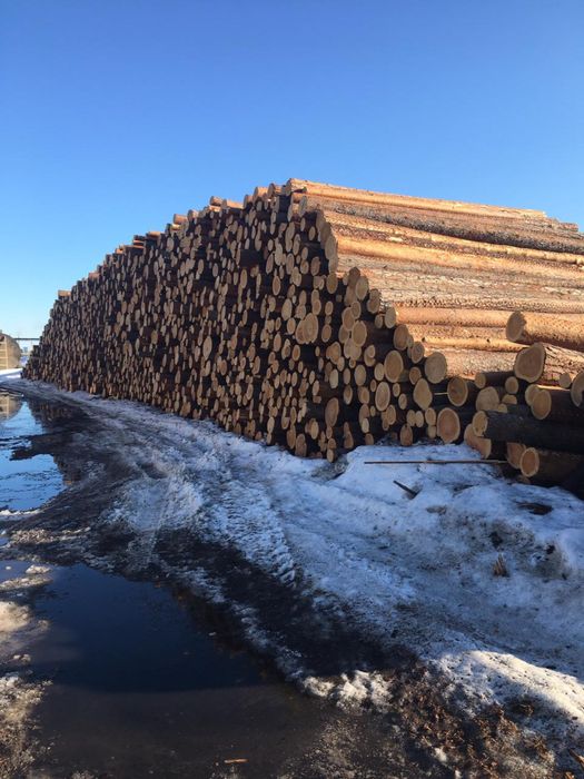 В Продаже Доска обрезная
