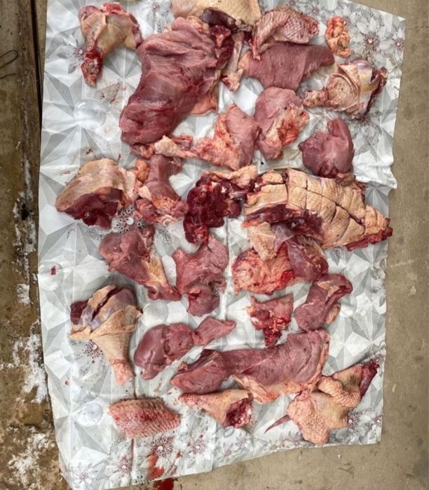 Кокшетау индейка, мясо Индейки