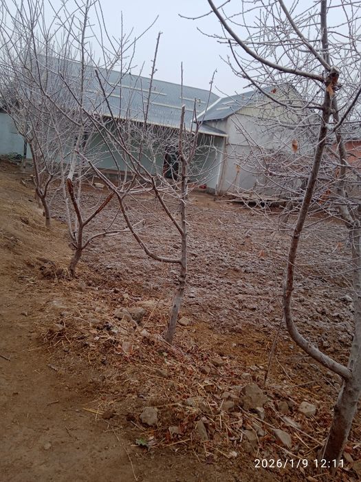 Shovot Boʻyrachida hovli joy sotiladi.