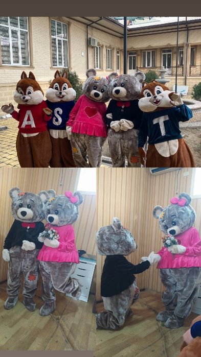 Animator Ayiqchalar va Burunduqchalar