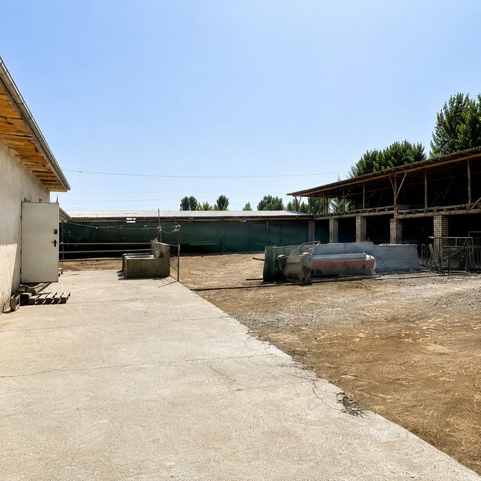 Chorvachilik uchun tayyor ferma