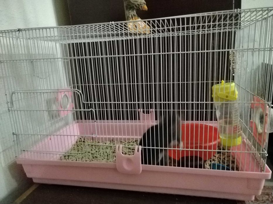 Клетка, для крысы и хомяков