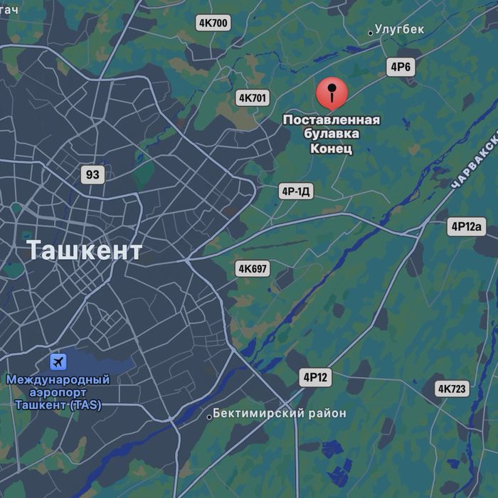 Do'rmon/Markaziy kocha 2.9 sot. Yol yuzida