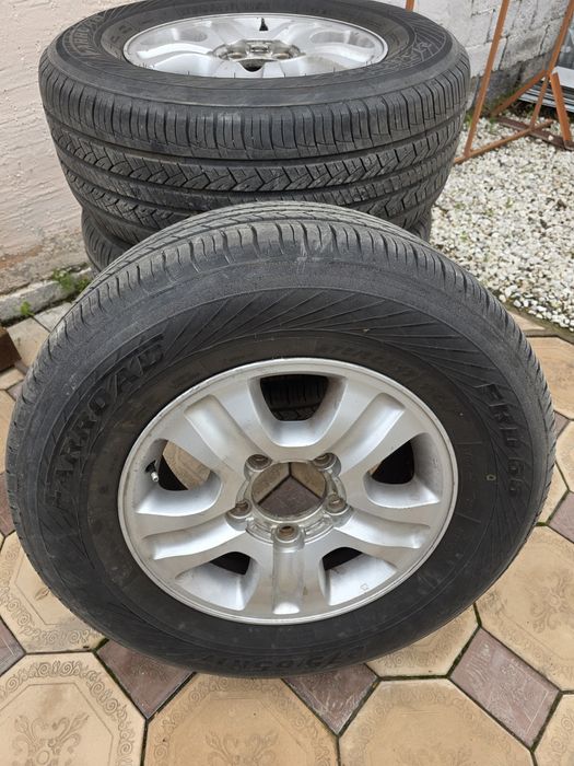 Шигы с диками летние