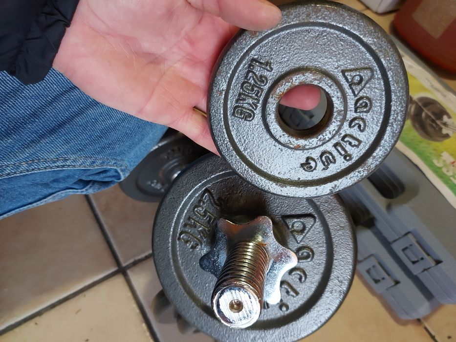 Set gantere 2×10 kg