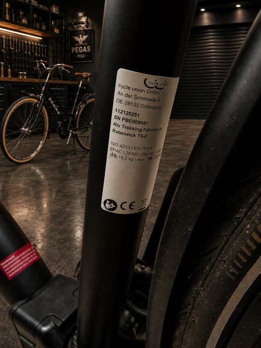 Bicicleta electrica Rabeneick TS-E