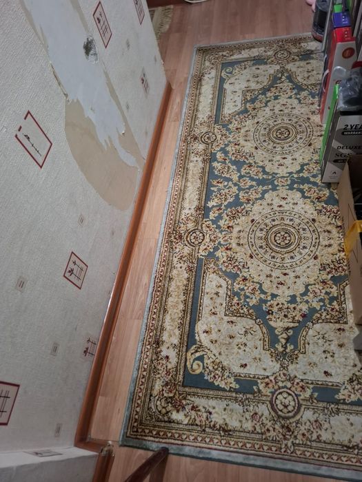 Ковер. Ковры.  Ковры за все 50000.