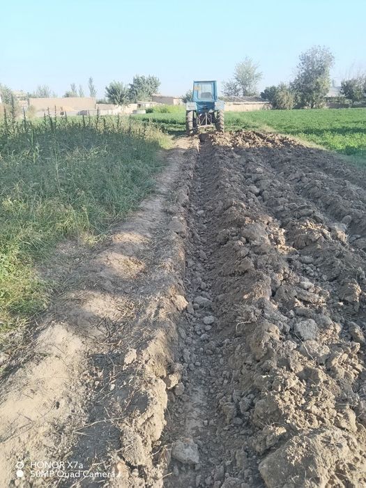 Puluk sotiladi botishi zur