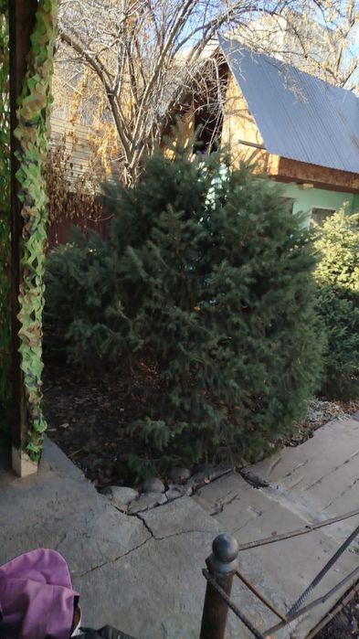 Сдам дом после ремонта