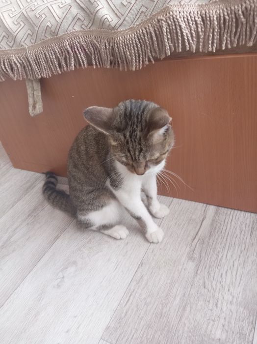 Продаём за 10000 торги не интересуют