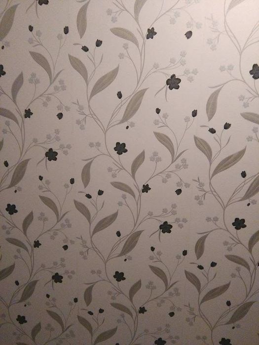 Zugrav ,Faiantar , profesionist