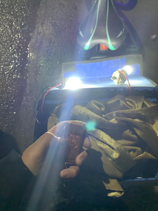 Велосипед W260 WENTANA