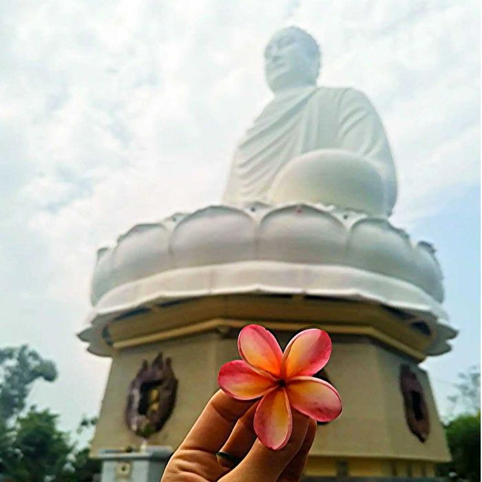 Вьетнам туры из Ташкента Vietnam