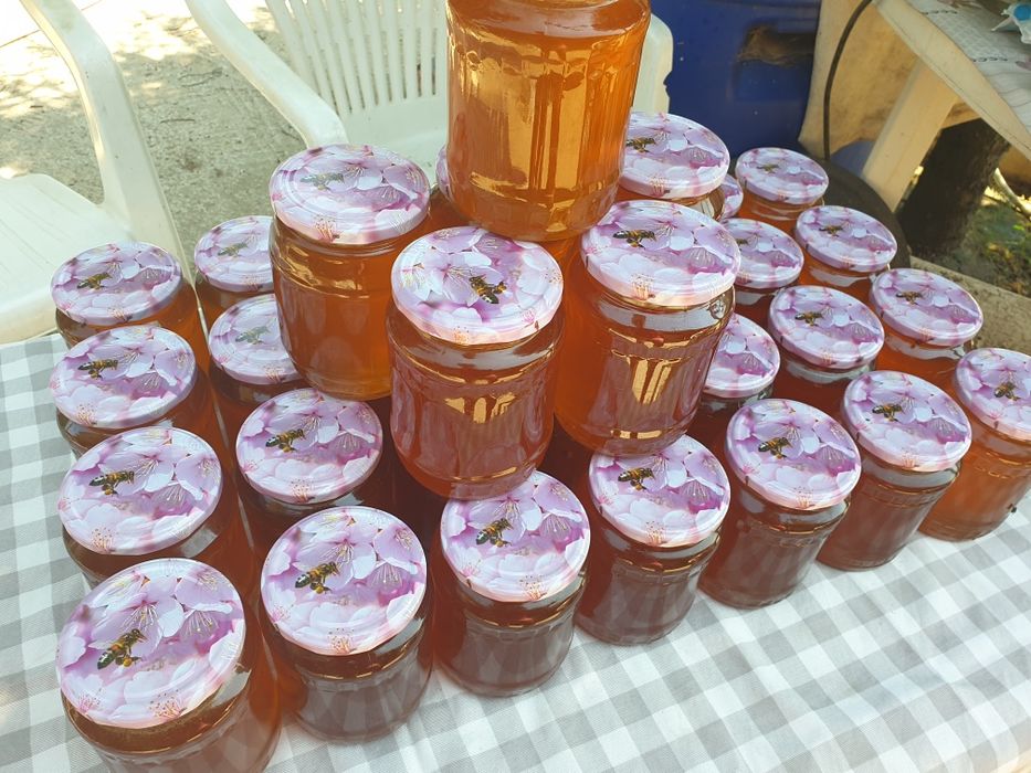 Miere poliflora Floarea Soarelui