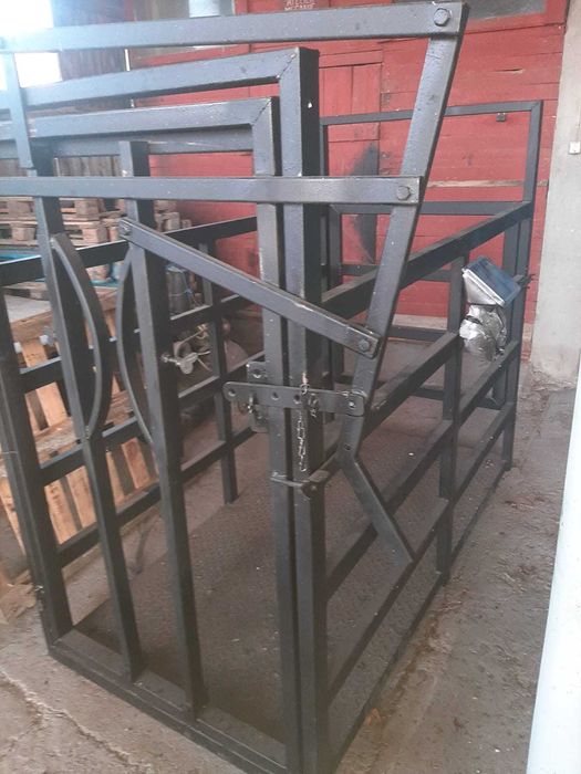 Cantar 3 to cu dispozitiv de contentie bovine