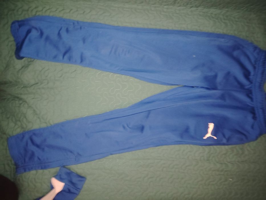 Trening Puma Original