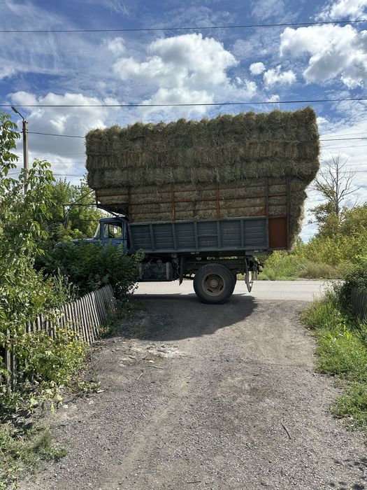 Шөп Сено рулоный и тюковые