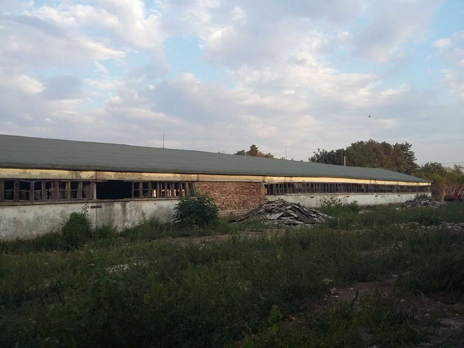 Продава се Склад в с. Нова Черна, Област Силистра - 975 кв.м за 105 €/кв.м - Снимка #3