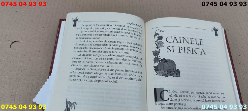 carte carti printul pustiului stephen sander