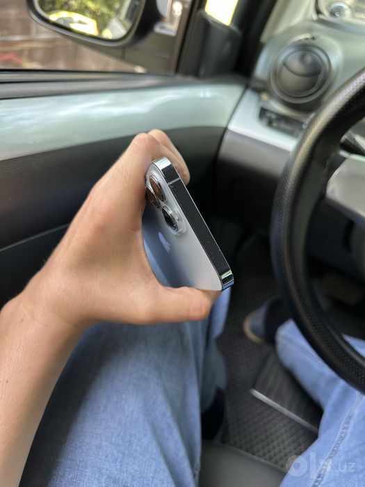 iPhone 13 Pro Max ideal