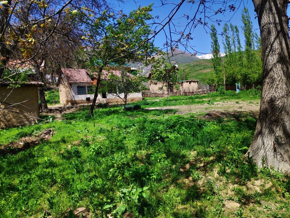 Uchastka sotiladi, Nefrit ko'liga yaqin joyda joylashgan