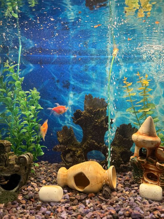 Продам Аквариум на 144 литра