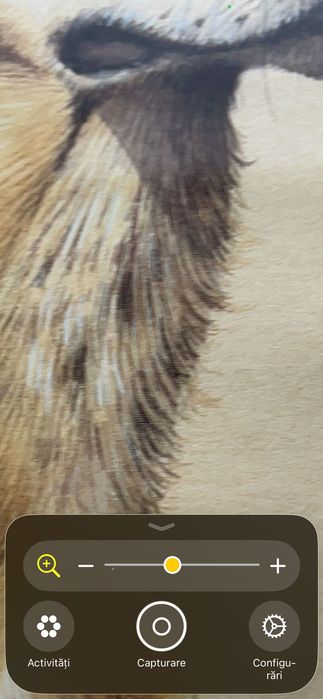Labrador retriever tablou semnat John Frans,