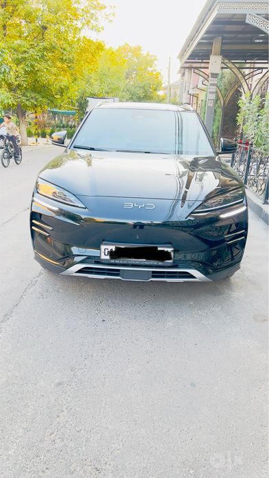 BYD chempion 2024
