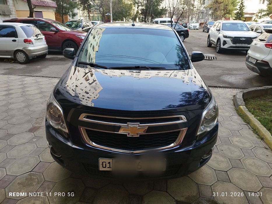 2023/2024 краска тозза