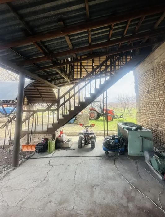 Яблоневый сад...