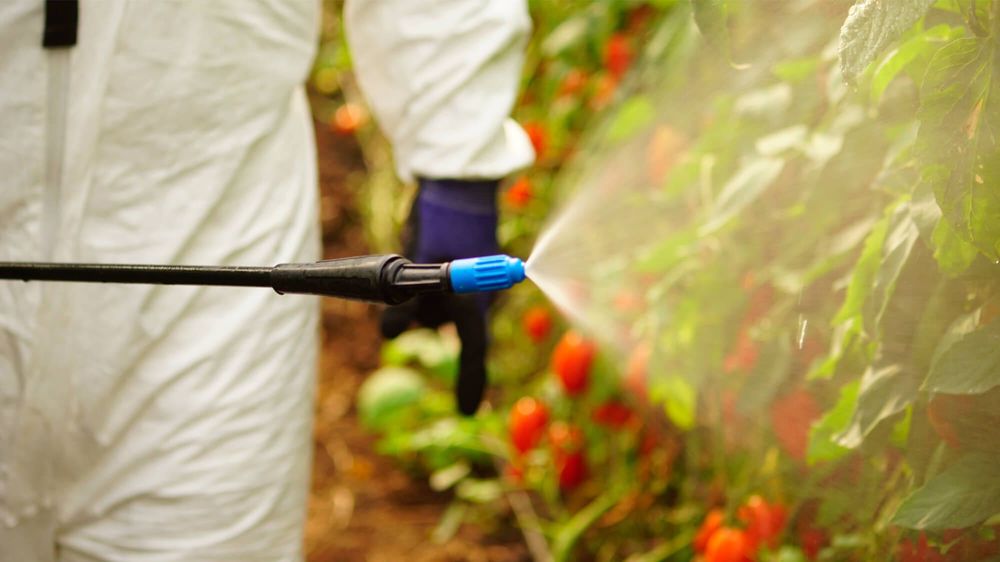 Профессиональный аккумуляторный опрыскиватель Matabi Evolution 20 LT