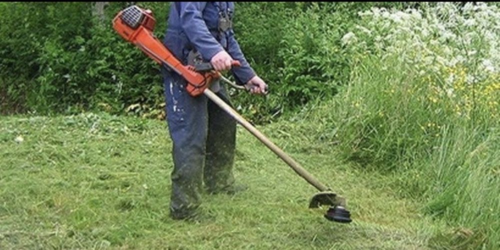 Defrisari mecanizate taiere pomi