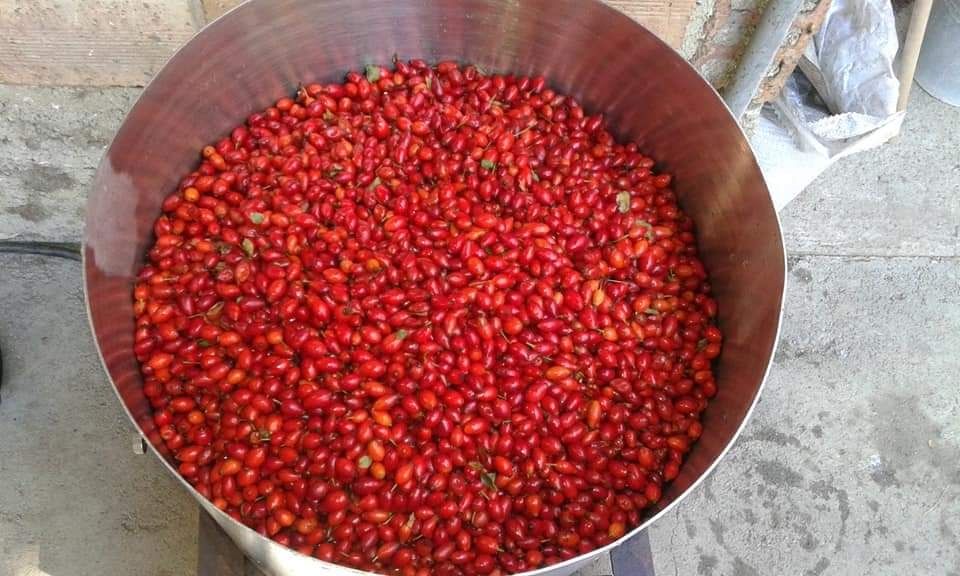 Домашен Шипков мармалад