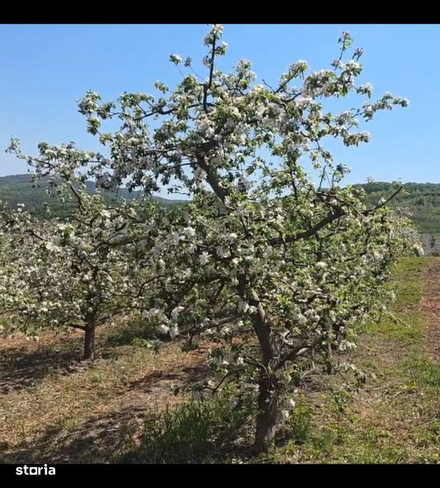 Teren 2721mp Breaza Prahova - Intravilan, Zona Exclusivista, Casa/Vila