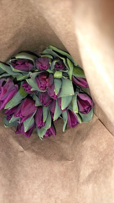 Тюлпан сатылады 22 расцветка бар