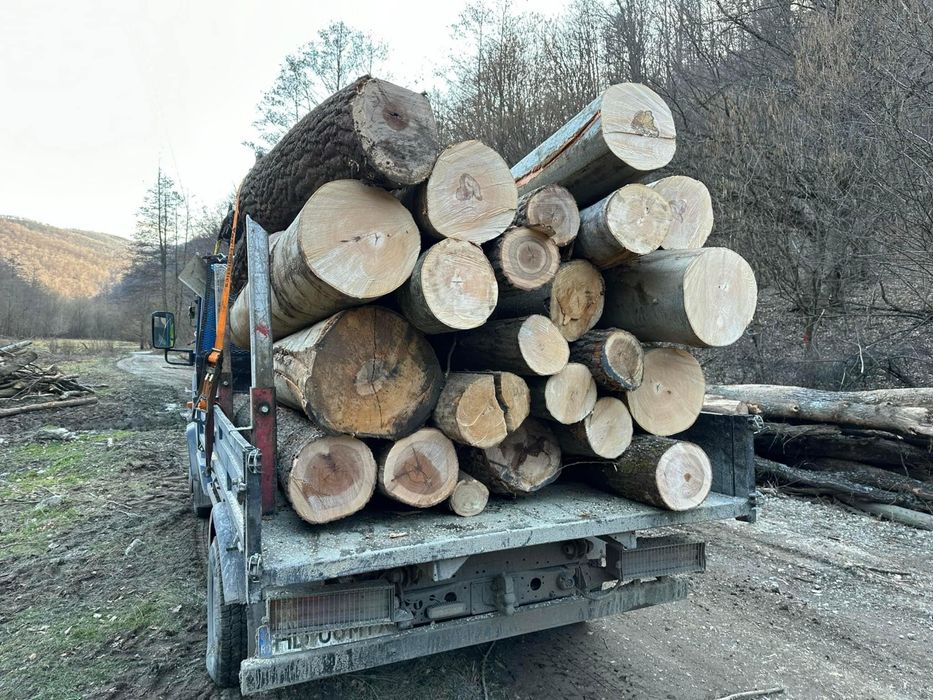 Lemn foc la 3m !! Tot judetul Hunedoara !Contra cost se taie si sparg!