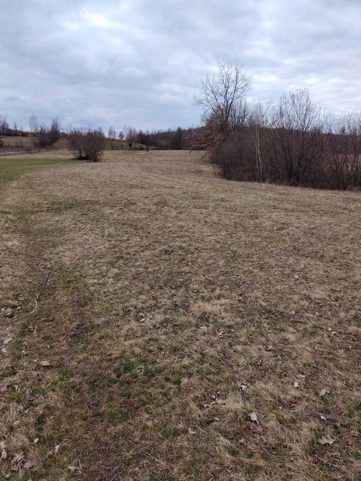 Vanzare Teren  Extravilan Sinca Noua