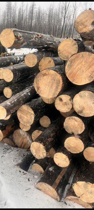 Продам лес. Деловой