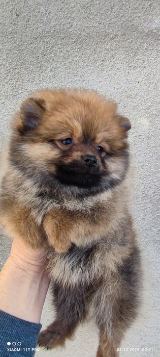 Момчета и момичета