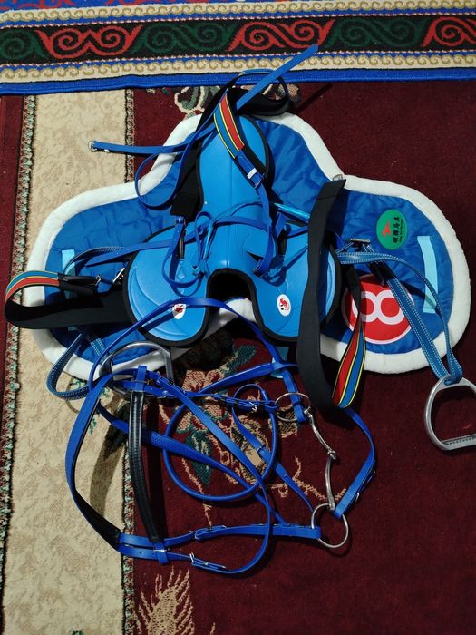 Ат әбзелдеры талдықорған