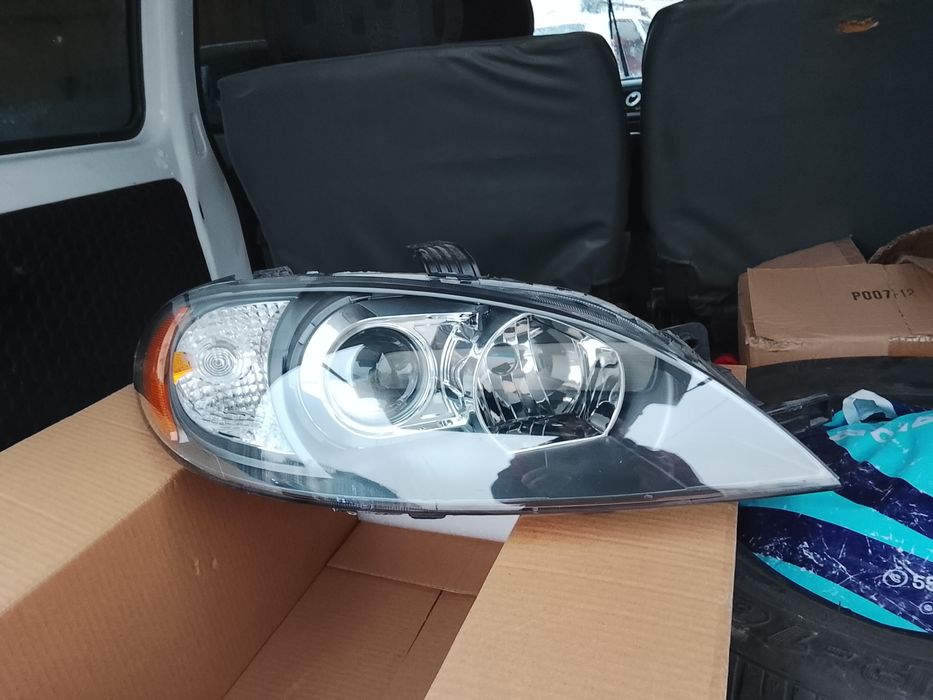 Жентра американка