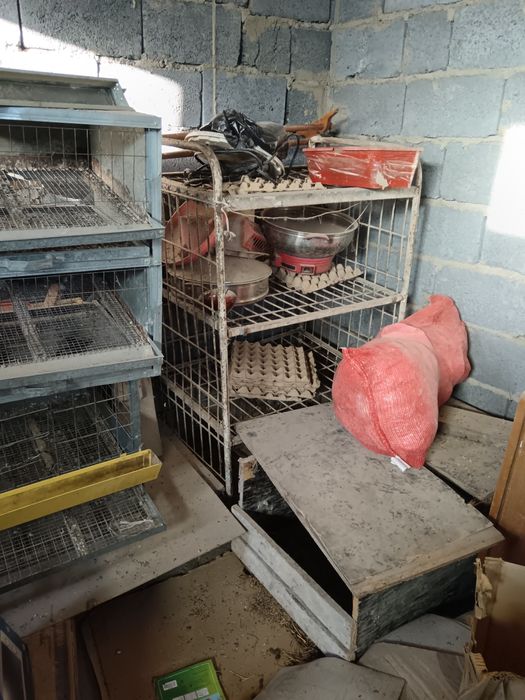 Клетки для перепелов