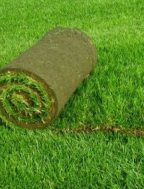 Gazon ekish o'rish sepish