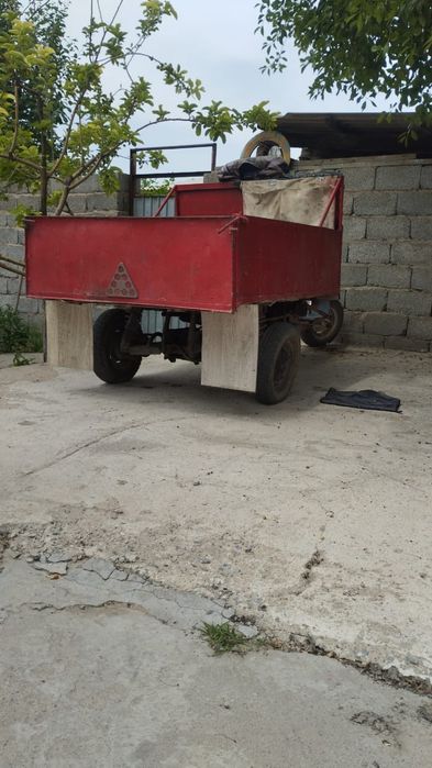 Муравейй шымкент