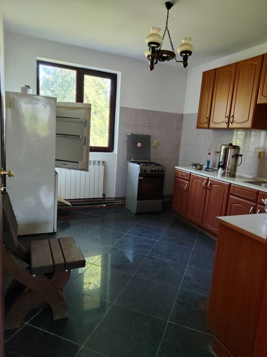 Casa individuala cu annexe si teren, pretabil pensiune In Remetea Lunca, Timis