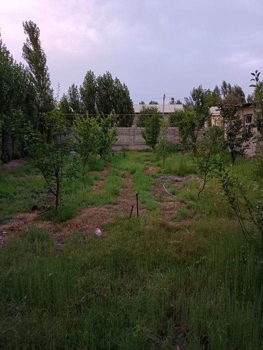 Yer uchaska sotiladi