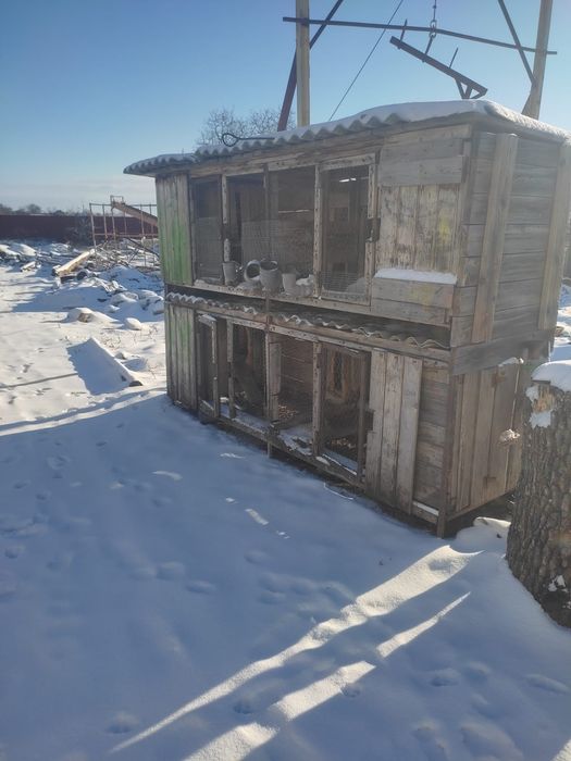 Cuști iepuri  schelet metalic