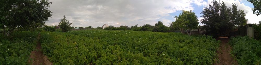Сдам в аренду дачу