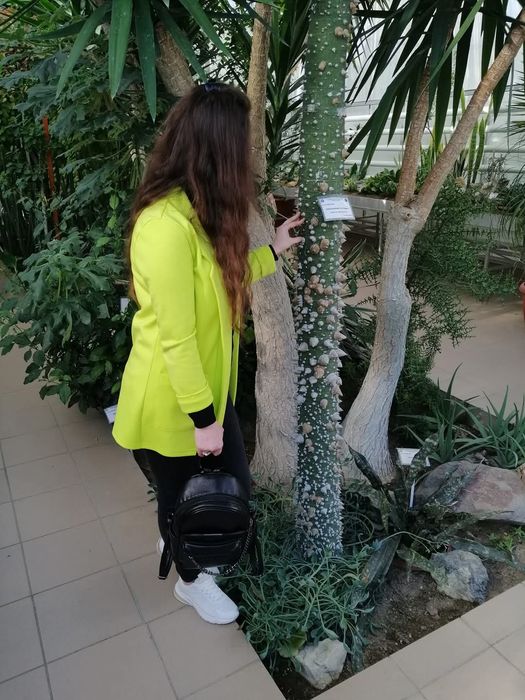 Sacou dama verde